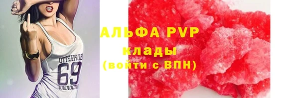 apvp Алзамай