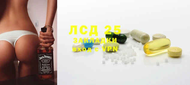 apvp Алзамай