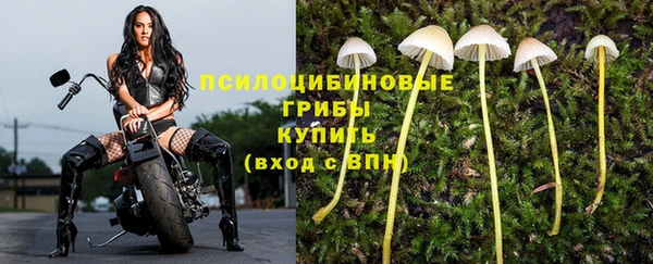 винт Алексин