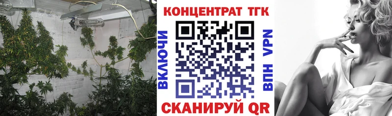ТГК Wax Аша